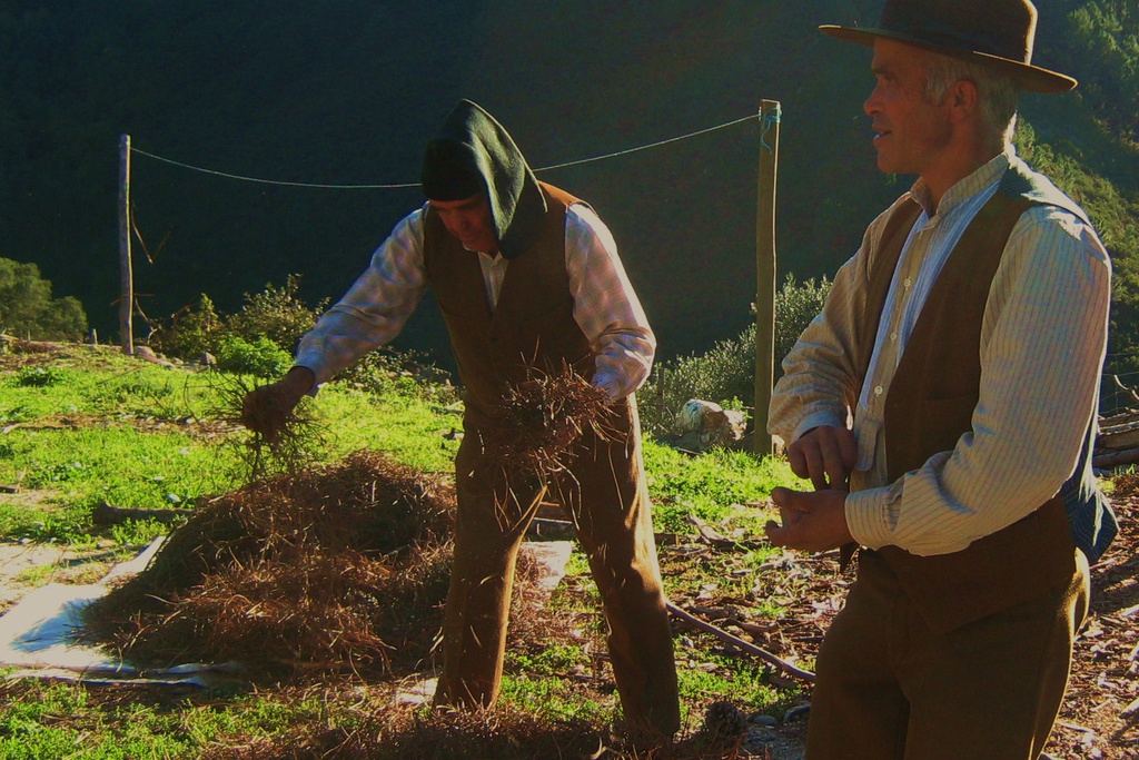 Magusto tradicional e Castanha Pilada