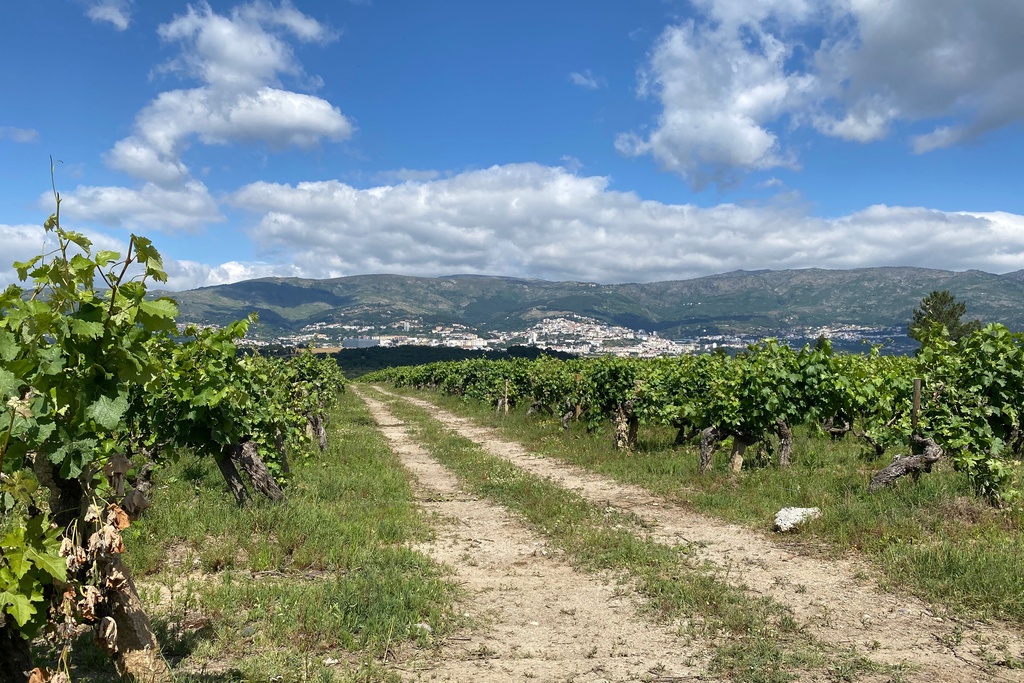 Irrigando a Cova da Beira: Borralheira > Área de Descanso da Ponte Alvares [GR33 - GRZ: Etapa 3]