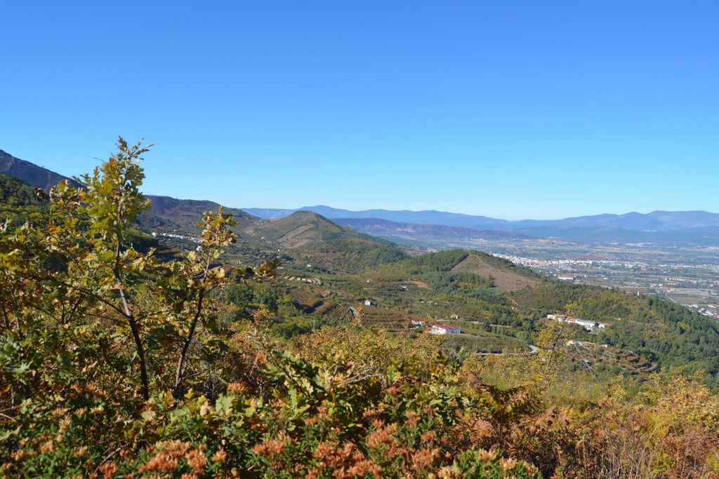 Rota dos Castanheiros