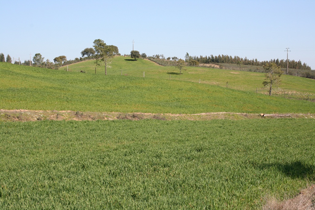 Colóquio inovação e empreendedorismo: contributos para o desenvolvimento agrário