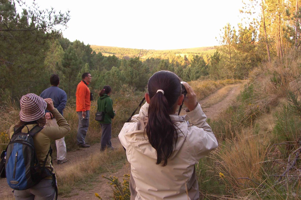 Iniciação à Observação de Aves