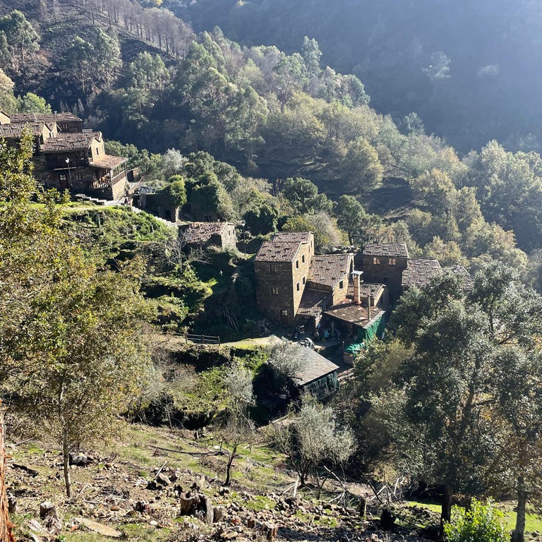 From Earth to Wall – Introduction to Lime Mortars