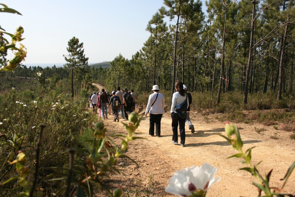 157º Passeio Pedestre - Um Cerco ao Castelo