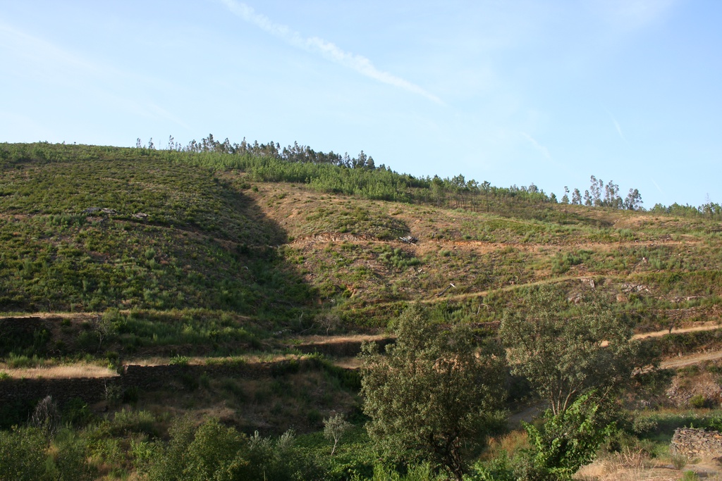 Sessão de Esclarecimento – Pequenos Investimentos Agrícolas