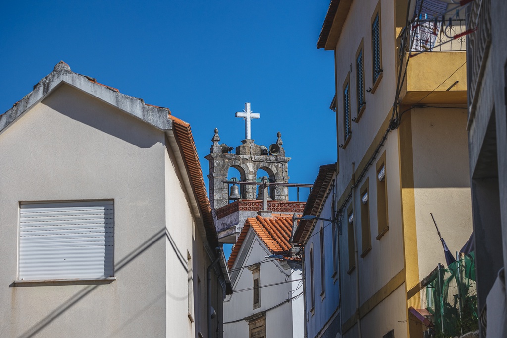 Festa de São Martinho