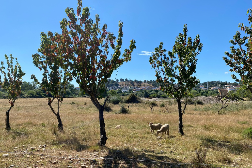 Irrigando a Cova da Beira: Parque de Campismo do Tortosendo > Peso [GR33 - GRZ: Etapa 5]