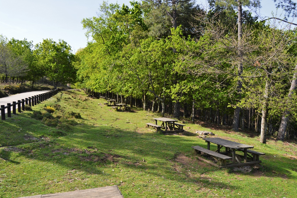 PR7 LSA - Lousã Schist Walking Trail  - Discovering the Forest