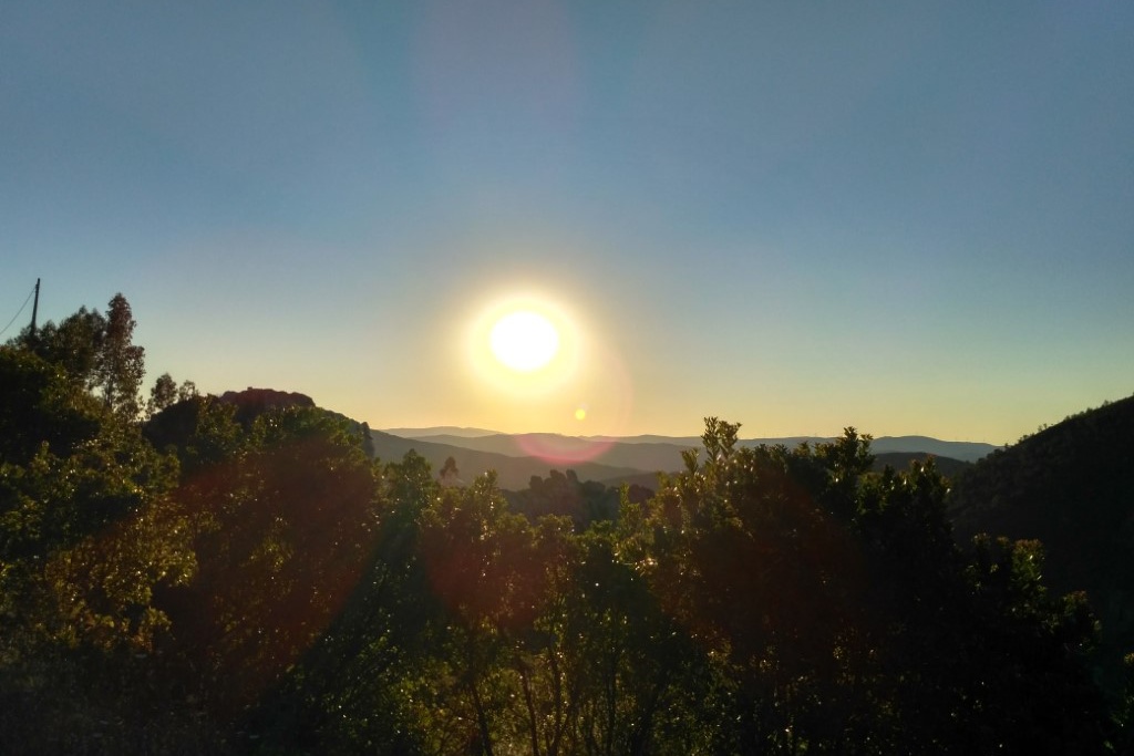 Sol no Parque: Observar, conhecer e cozinhar com a nossa estrela