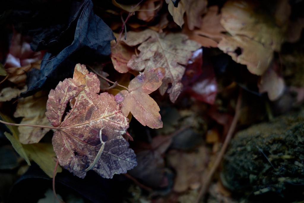 Residência Artística – FIASCO TÊXTIL