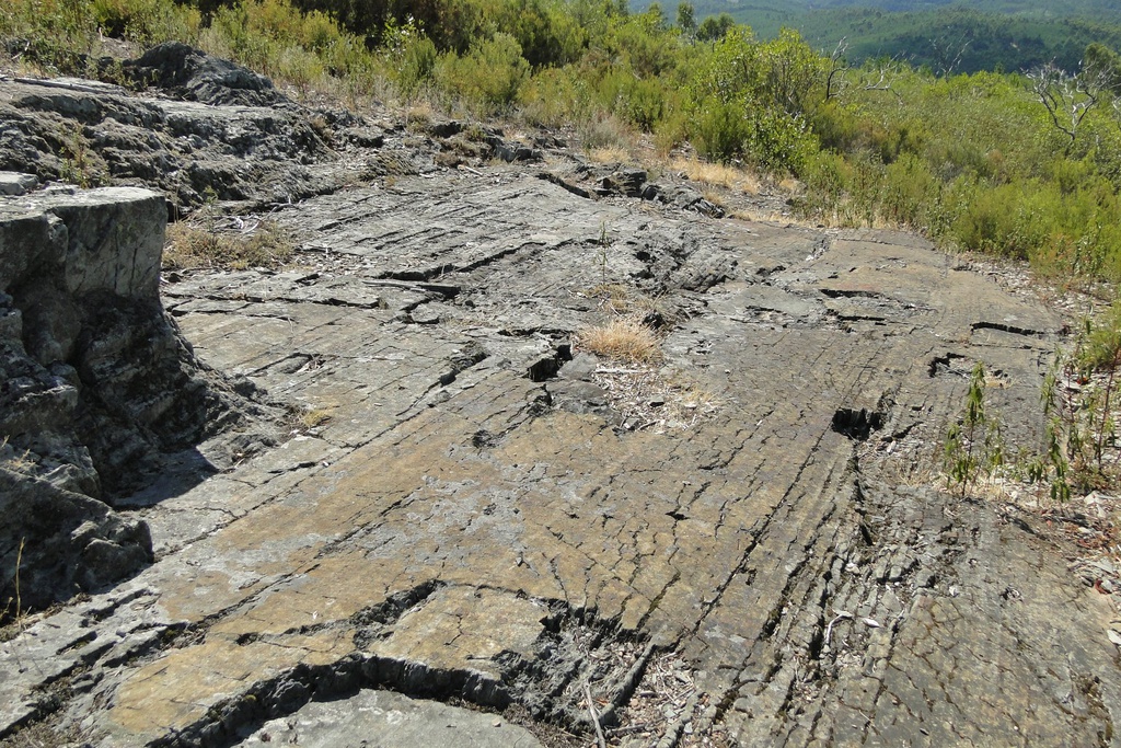 Viagem à Pré-História
