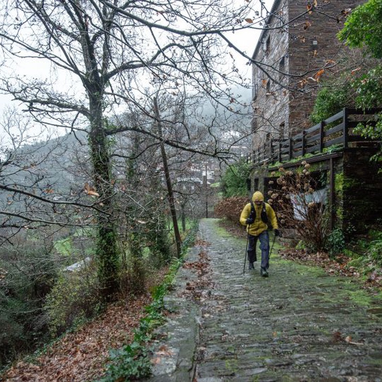 Land of Giants Ultramarathon