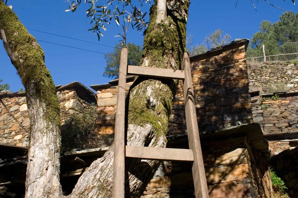 Rota dos Lagares