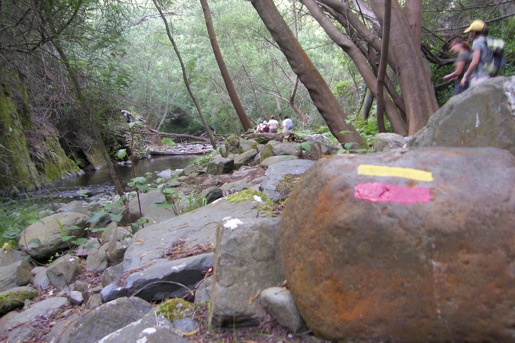 Caminhada Levadas do Ocreza