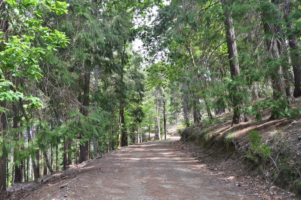 PR6 LSA - Lousã Schist Walking Trail - Miller´s Trail