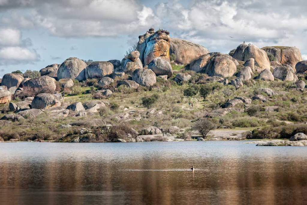 Seminário "Arte, Vida e Paisagens em Redes”