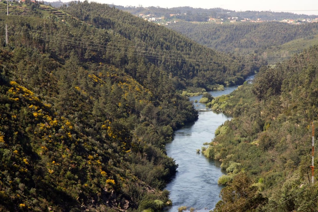 A Caminho do Tejo: Fontes > Área de Descanso do Souto [GR33 - GRZ: Etapa 3]