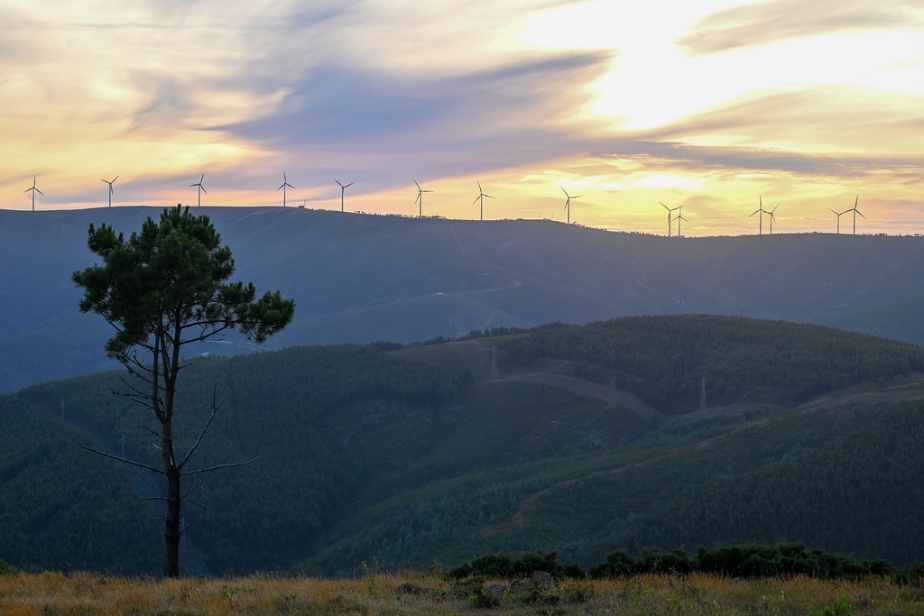 Lusco Fusco em Castanheira de Pera