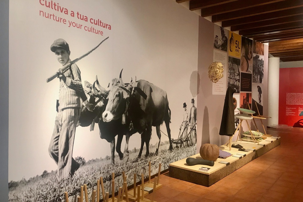 Exposição Agricultura Lusitana patente no Museu Etnográfico Louzã Henriques