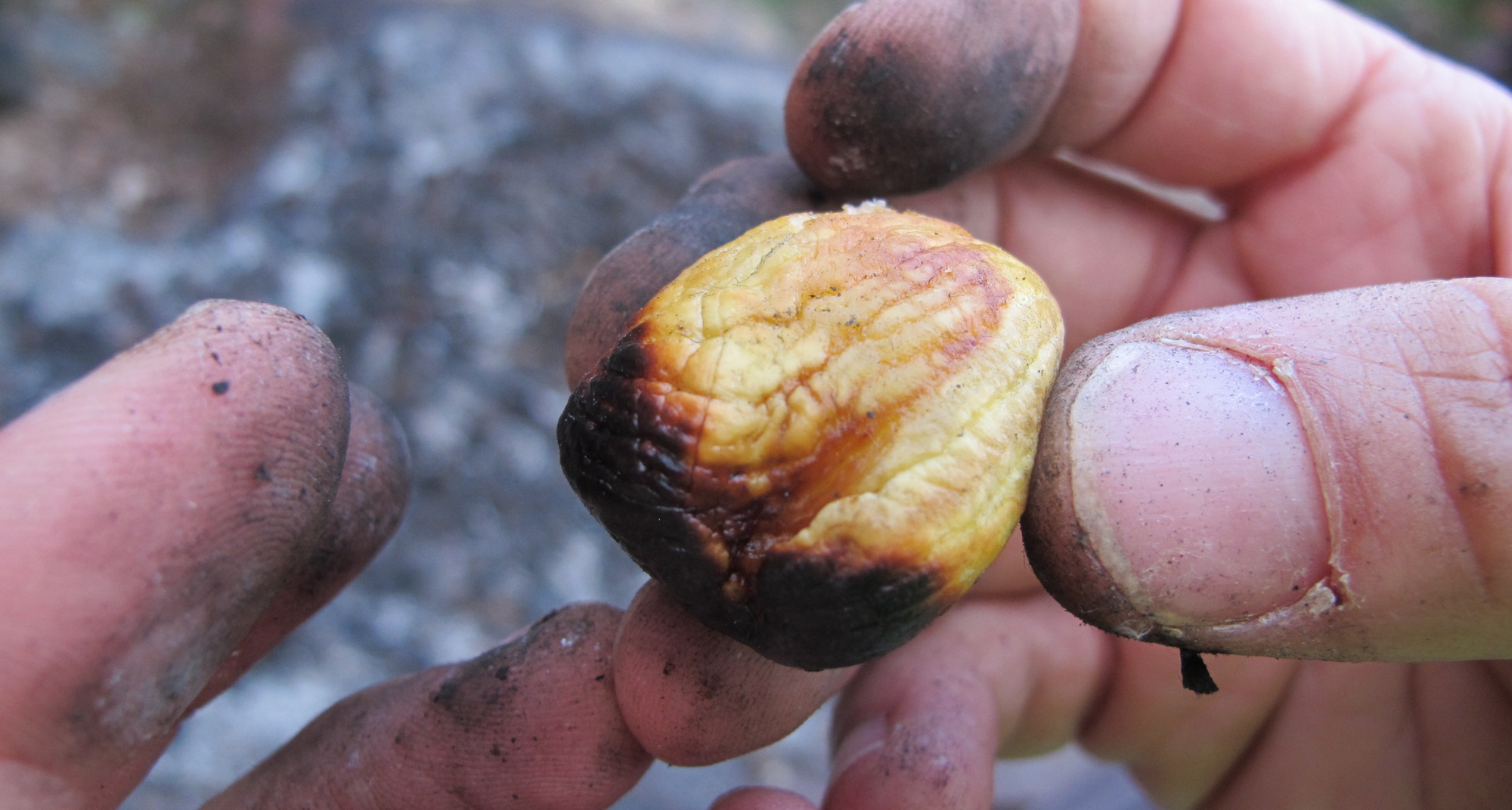 Autumn Magusto in Baixo in January