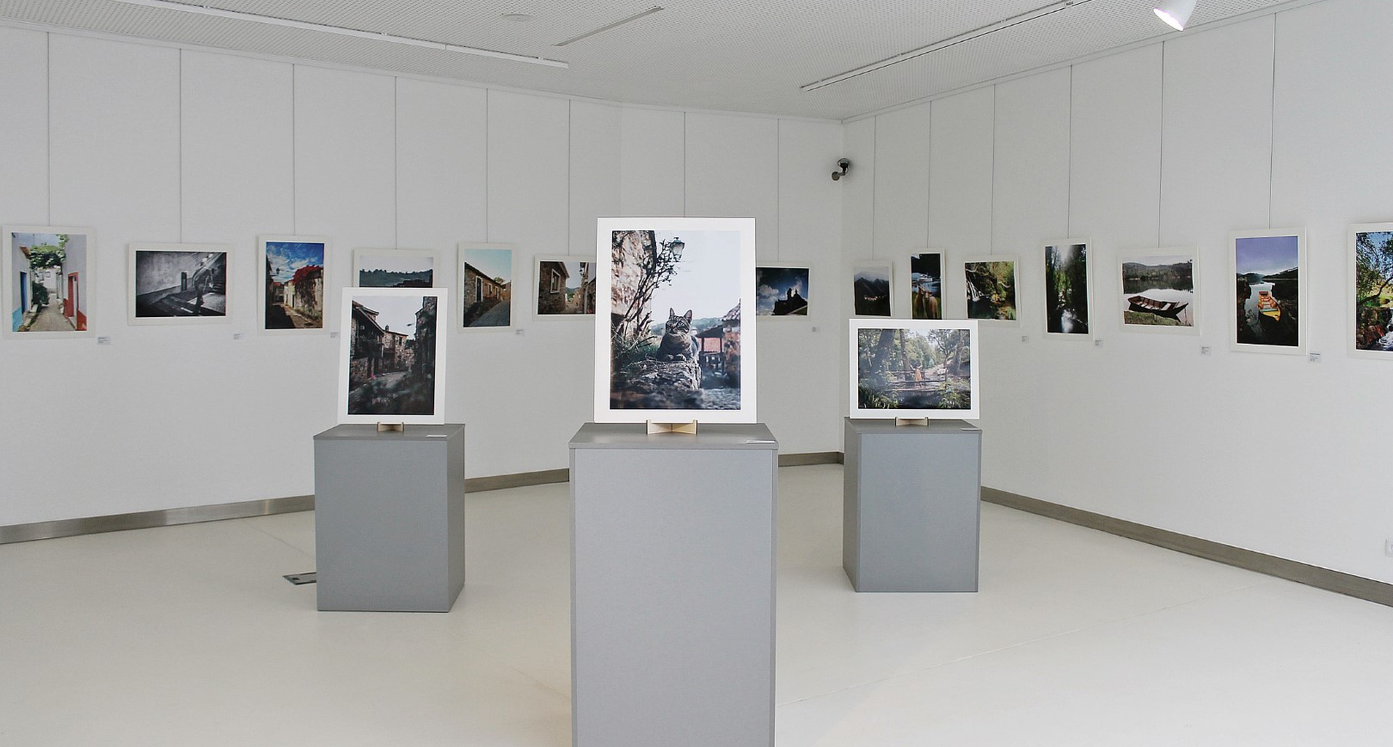 Exposição de fotografia “A Ver Figueiró dos Vinhos"