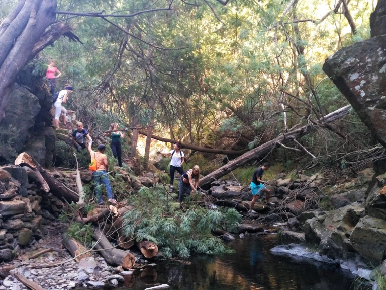 Young people from many countries participated in an International Work Camp