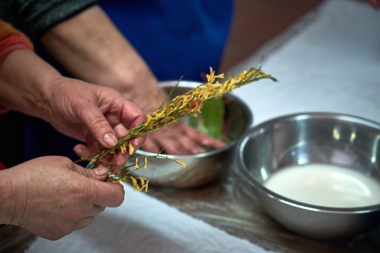 Janeiro de Cima learns dyeing techniques