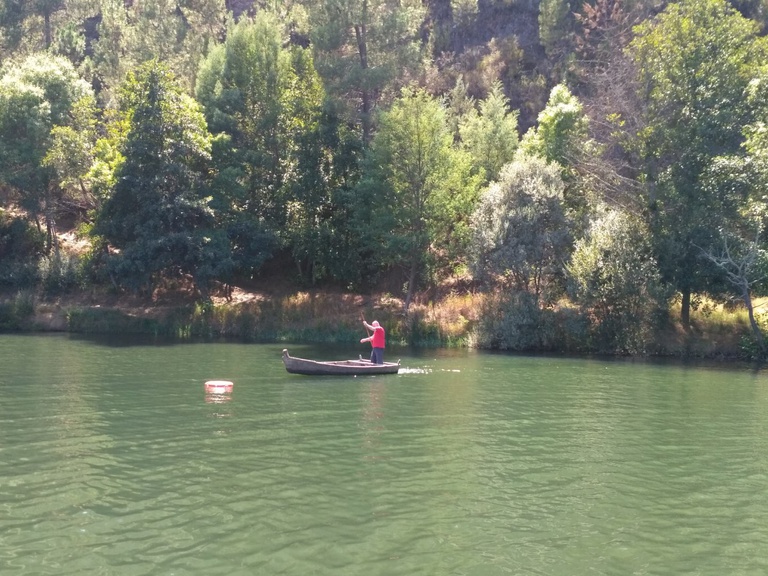 Prova de perícia com barcas tradicionais volta a reunir famílias e amigos no Zêzere