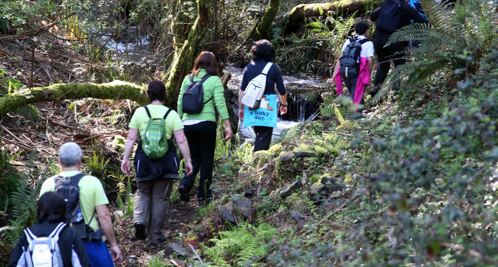 Caminho do Xisto da Lousã "Rota dos Baldios" 