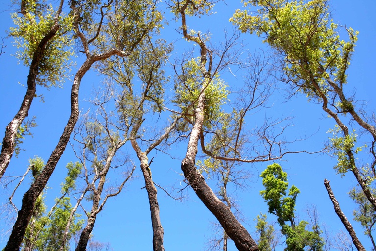 It’s the community that makes it happen