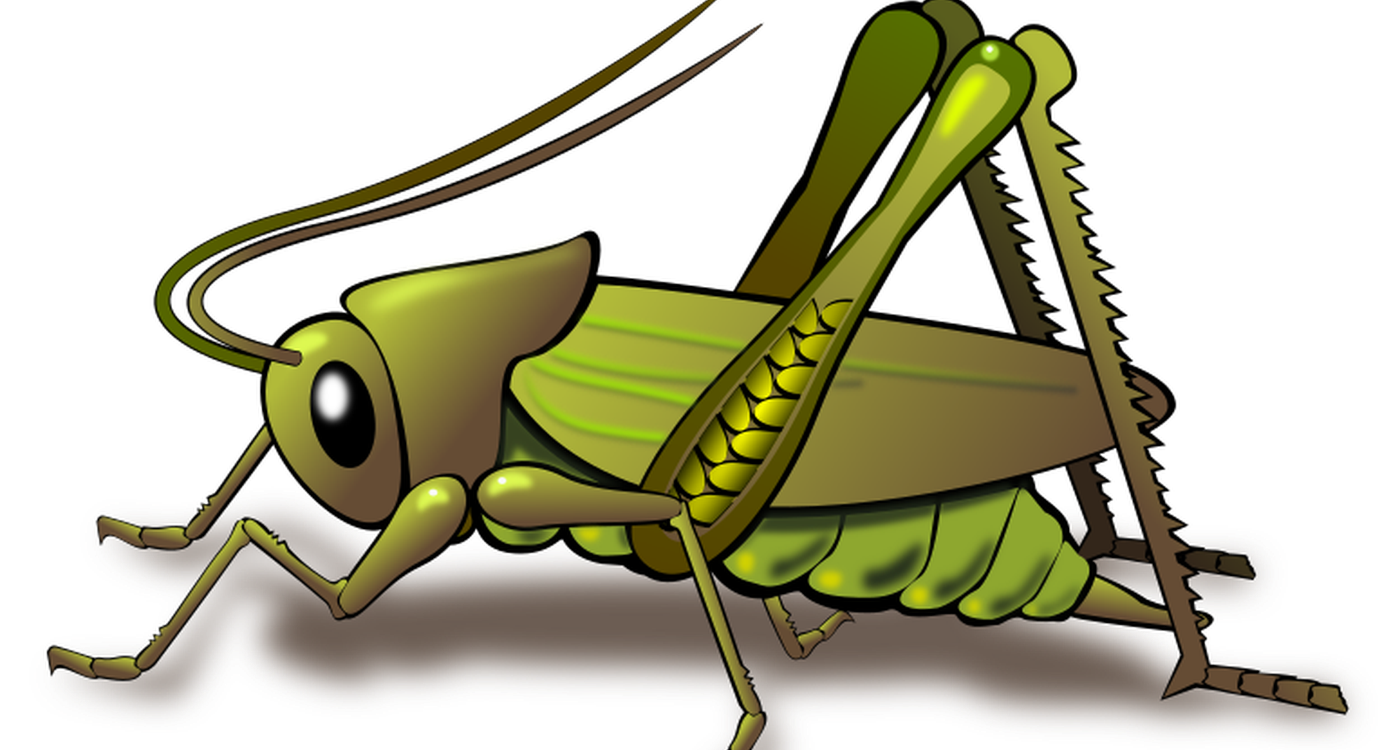 Entomofagia - Comer Insetos: Excentricidade ou necessidade?