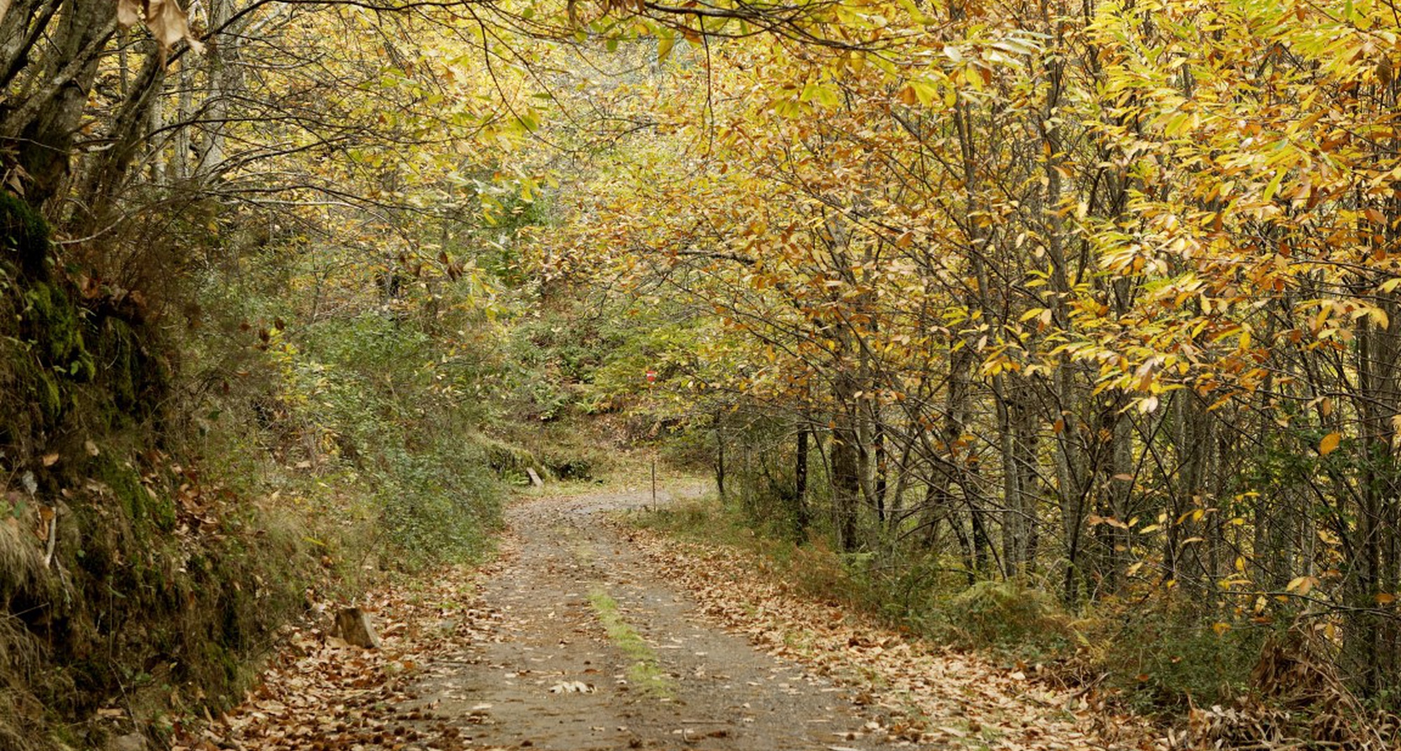 Interiorities #2 – The words and thoughts of proximity