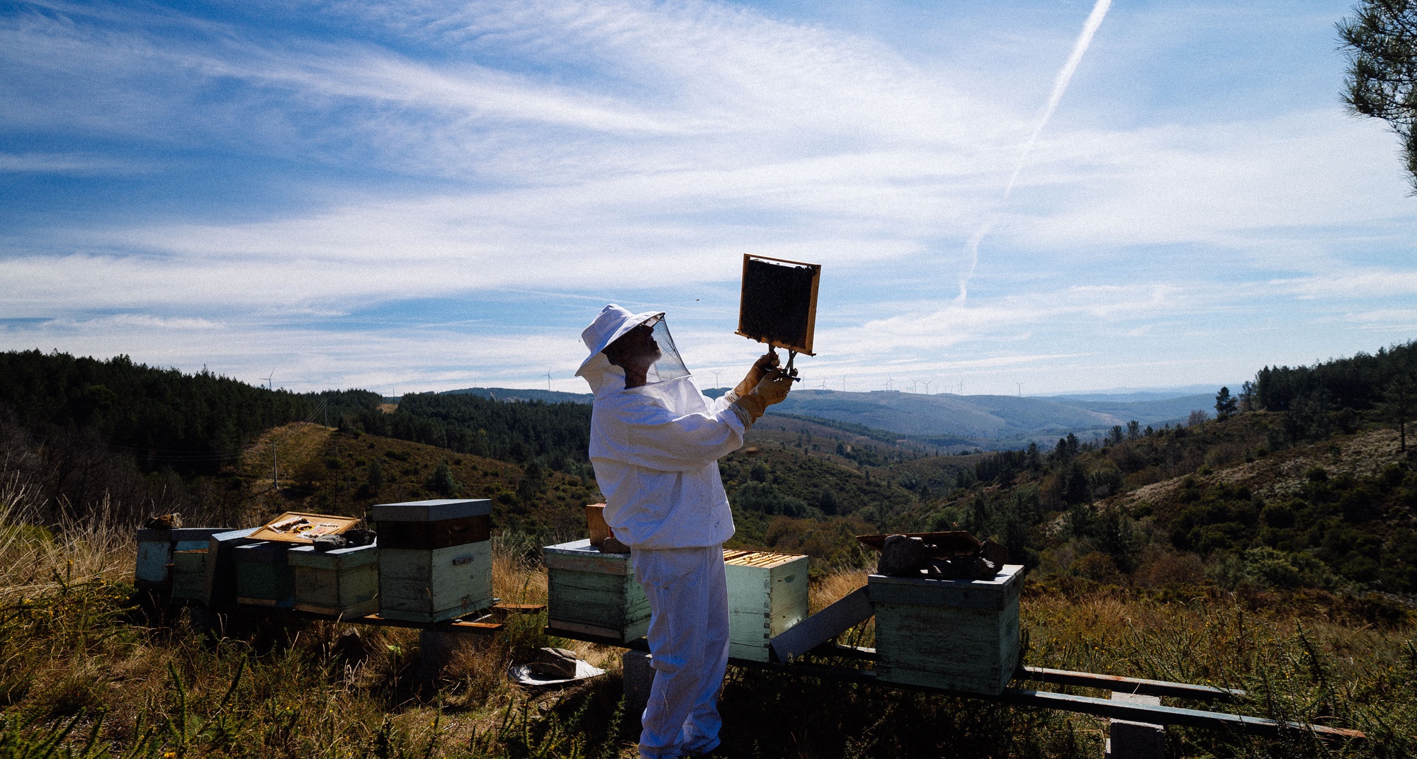 Beekeeping Training Course