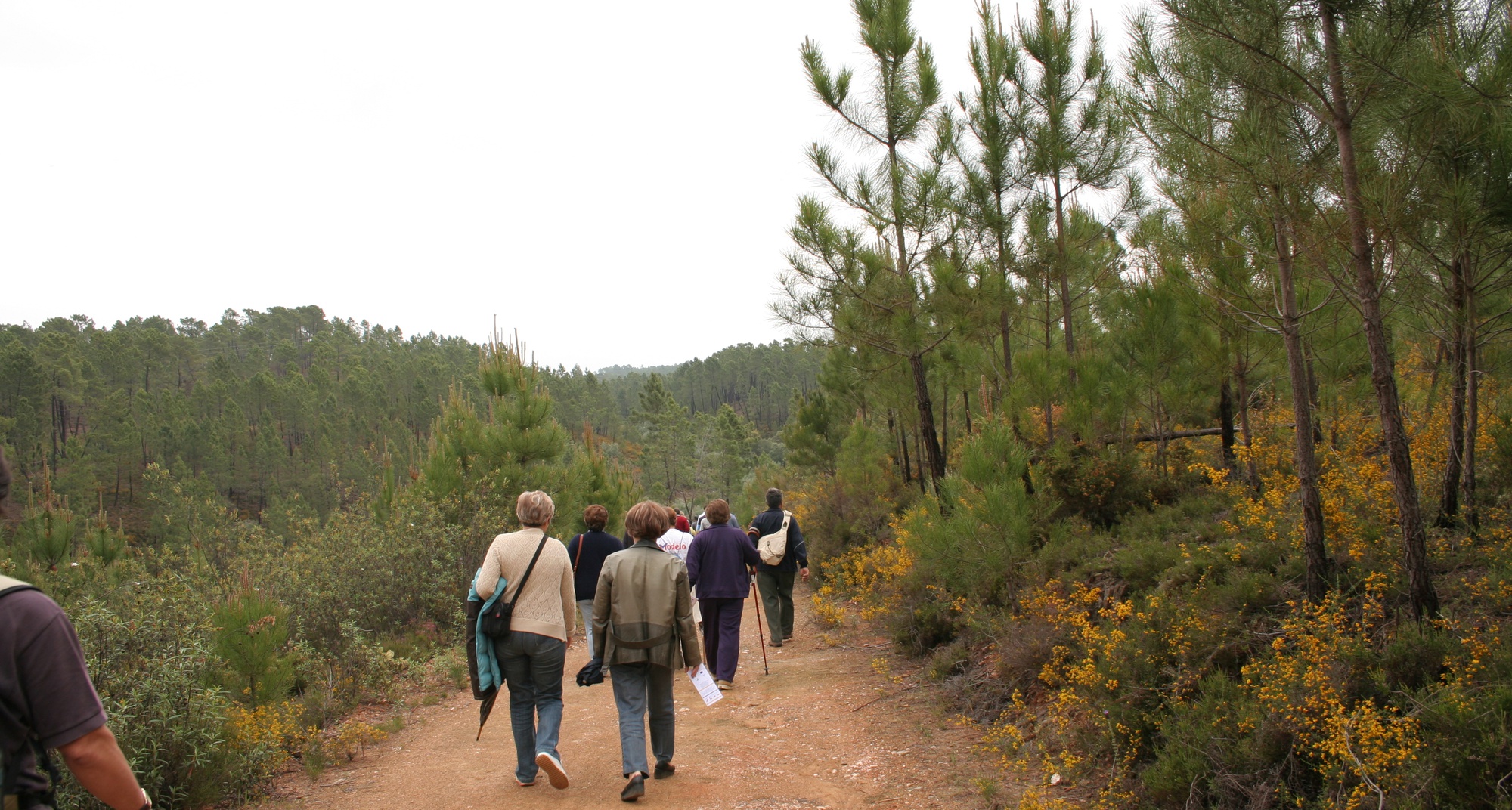 200.º Passeio Pedestre: Natal Rota Gourmet