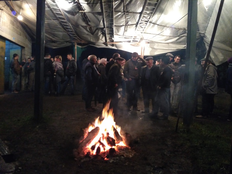 Cabbage, cod, olive oil and new wine complete the party in Malhada Velha