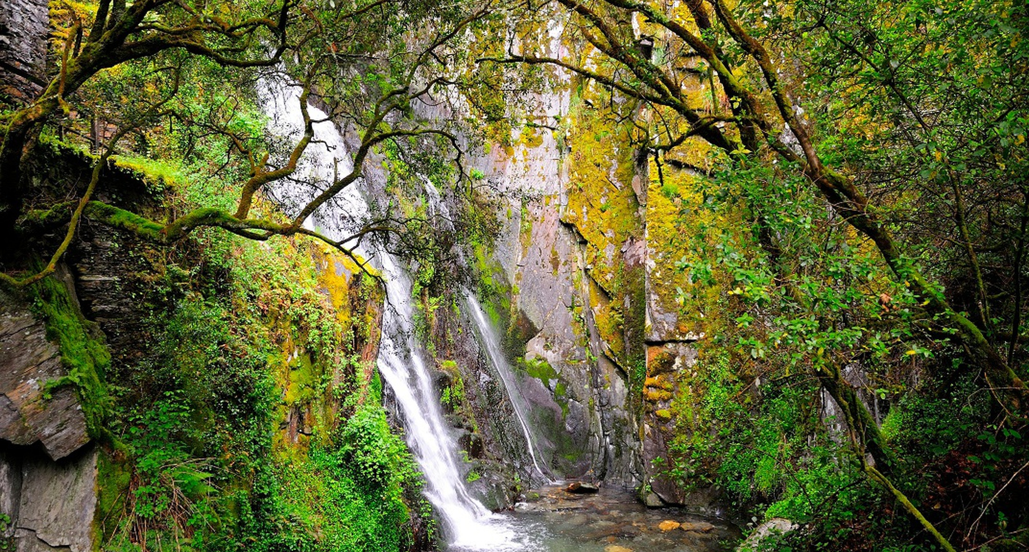 Caminhada de Outono na Benfeita