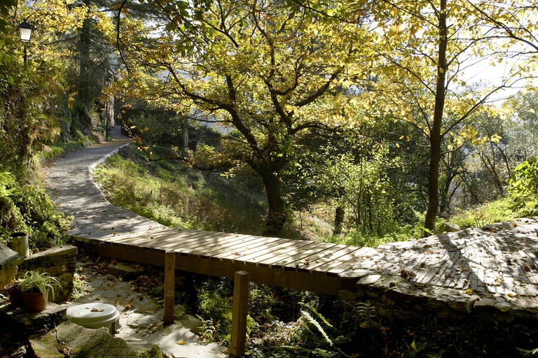 Impact of the June 2017 fires on the Aldeias Xisto