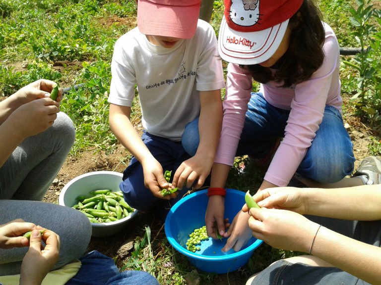 Aldeia Viva na Ferraria de São João